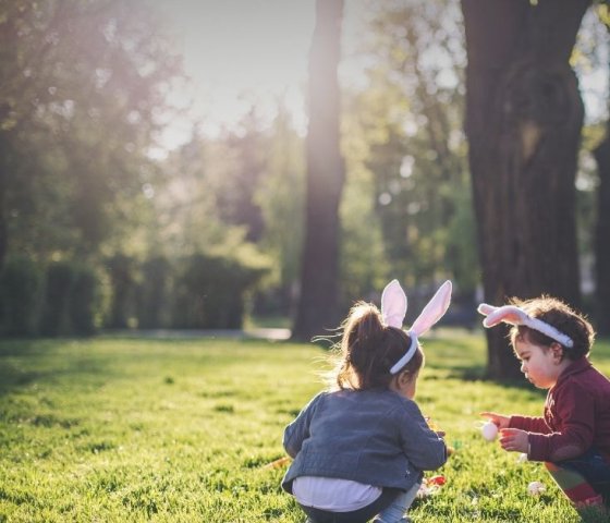 Easter family packages   x  px  x  px www.knightsbrook.com_v3